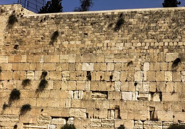Δυτικό τοίχο στην Ιερουσαλήμ — Φωτογραφία Αρχείου
