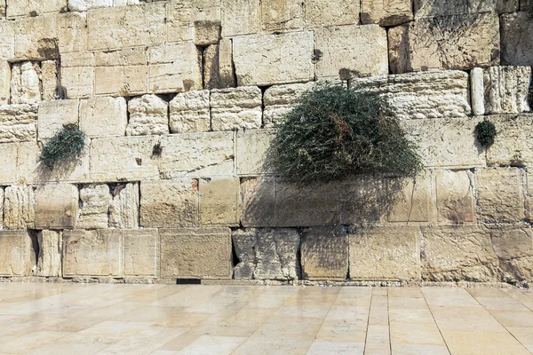 Ściana płaczu w Jerozolimie — Zdjęcie stockowe