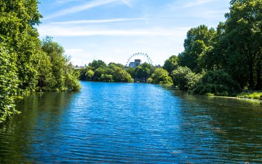 Londra'daki St. James's Parkı Gölü.