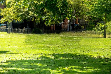 Gençler London St James'ın parkta çim üzerinde dinlenme.