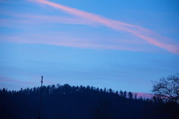 Floresta negra ao pôr do sol no fundo do céu azul — Fotografia de Stock