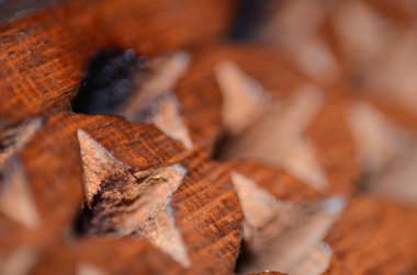 ahşap makro fotoğraf