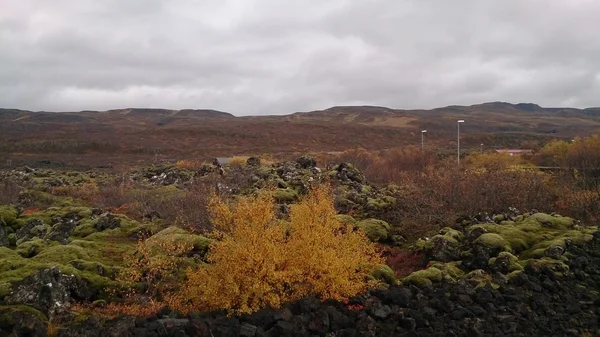 Islandia - krajobraz w Islandii — Zdjęcie stockowe
