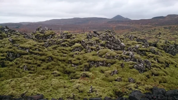 Islande - paysage en Islande — Photo