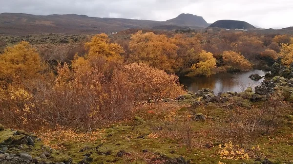 Iceland - Landschaft in iceland — Stockfoto