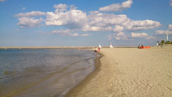 Passera di mare — Foto Stock