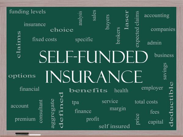 Облако самофинансируемого страхования Word Cloud на доске
