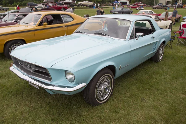 Puder Blue Ford Mustang Seitenansicht — Stockfoto