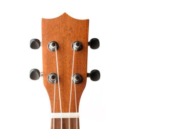 Beyaz arka planda Mahohany ukulele başlığı izole