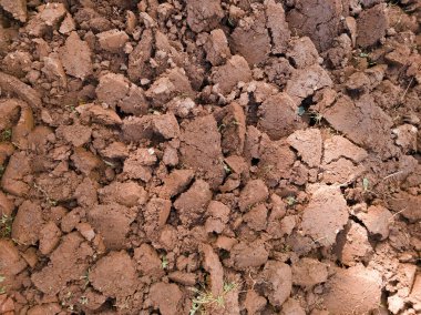 Sebze ekmeye hazırlanmak için kazılan çamurlu toprağın ayrıntıları.