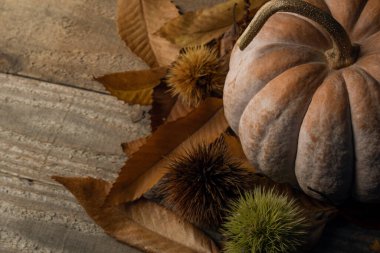 Sonbahar arkaplanı: Tahta masadaki kestane yapraklı balkabağı