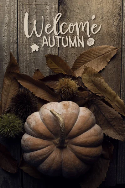 Witamy Jesienną Kartkę Dynia Kilka Liści Starej Drewnianej Podłodze — Zdjęcie stockowe