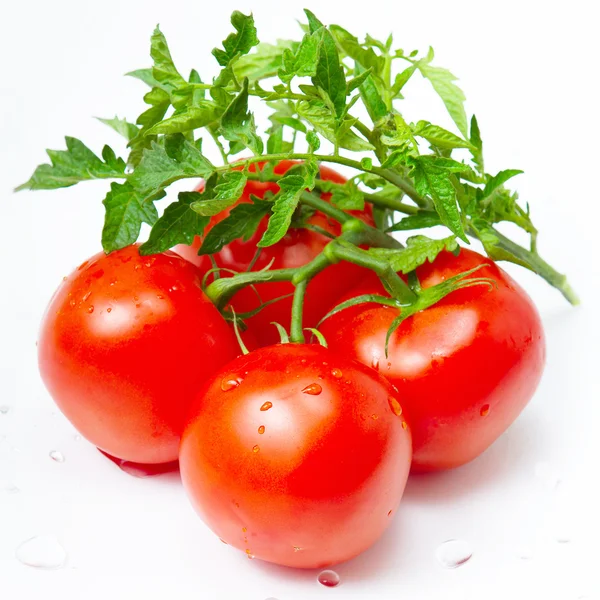 Čerstvá rajčata zelenina se zelenými listy — Stock fotografie