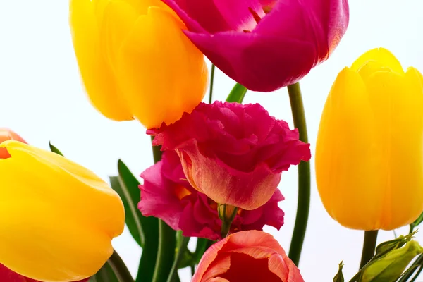 Flores coloridas primavera buquê tulipas — Fotografia de Stock