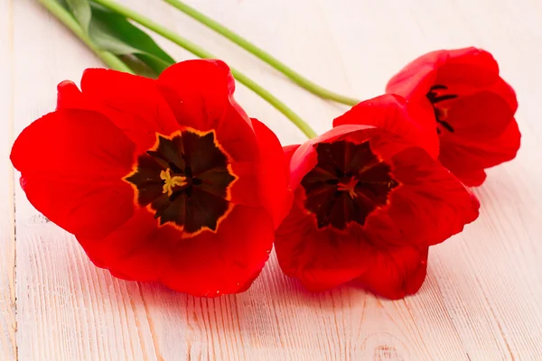 Coloridas flores de primavera ramo tulipanes —  Fotos de Stock