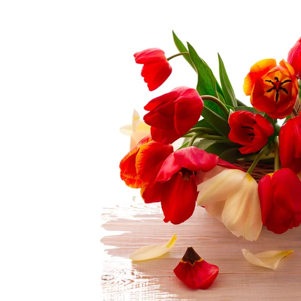 Kolorowe, wiosenne kwiaty bukiet tulipanów — Zdjęcie stockowe