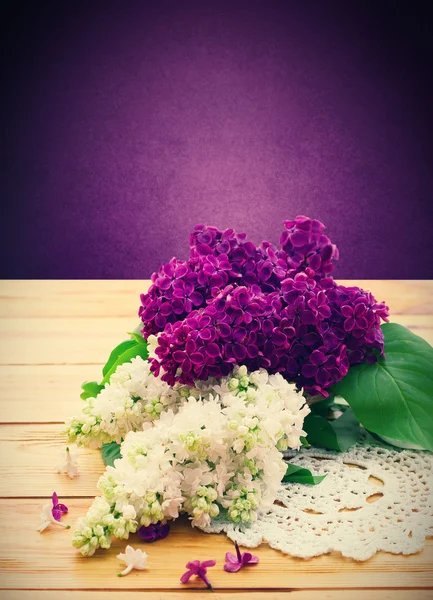 Virág izolált lila ág . — Stock Fotó
