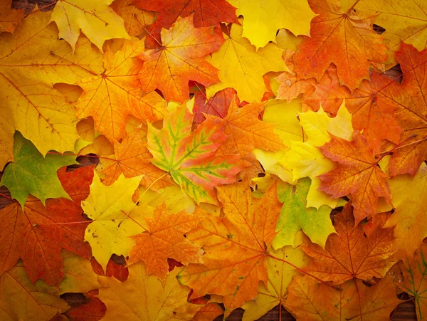 Őszi levelek a fa asztalon. — Stock Fotó