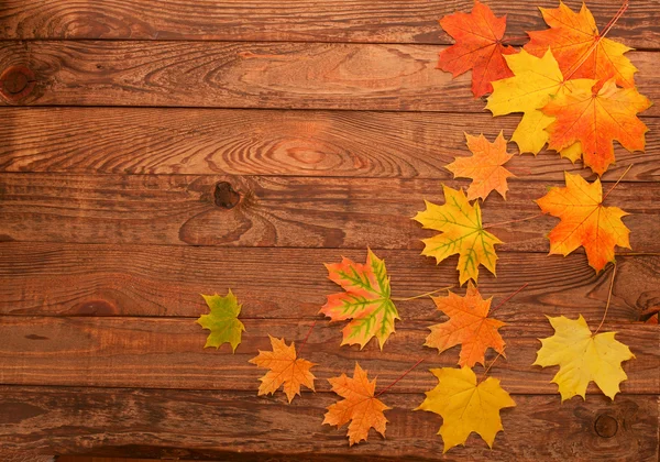 Herbstblätter auf Holztisch. — Stockfoto