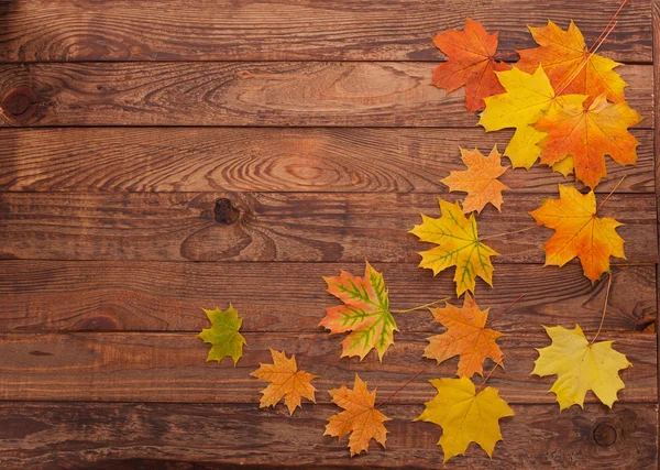 Herbstblätter auf Holztisch. — Stockfoto