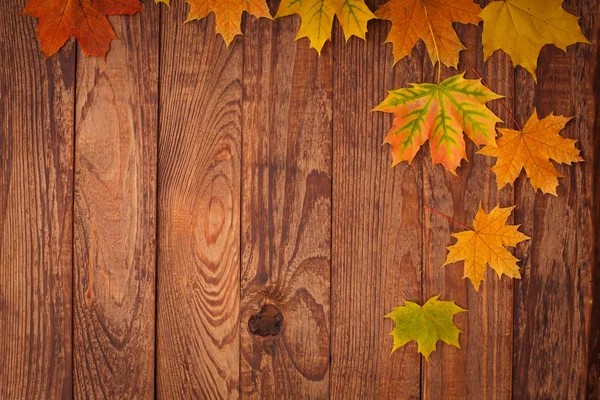 Herbstblätter auf Holztisch. — Stockfoto