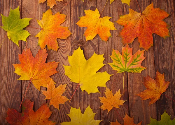 Herbstblätter auf Holztisch. — Stockfoto