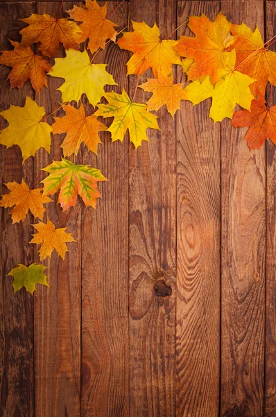 Herbstblätter auf Holztisch. — Stockfoto