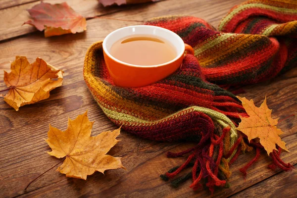 Autumn leaves, book and cup of tea on wooden table in studio — Stock Photo, Image