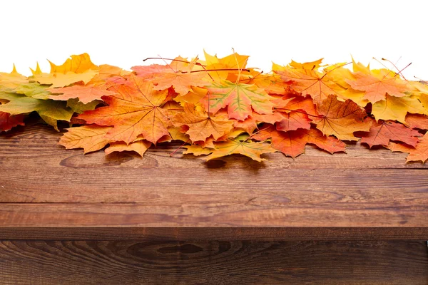 Autumn leaves isolated — Stock Photo, Image