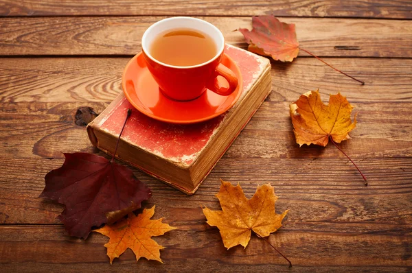 Autumn leaves, book and cup of tea on wooden table in studio — Stock Photo, Image