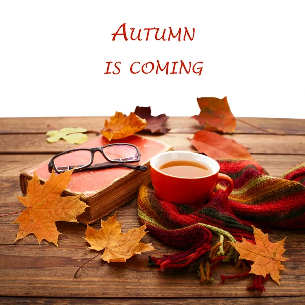 Herbstblätter, Buch und Tee auf Holztisch im Atelier — Stockfoto