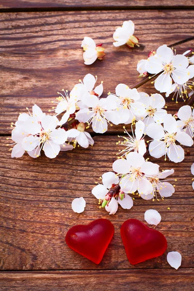 Flowering branch with white delicate flowers on wooden surface. — Stock Photo, Image