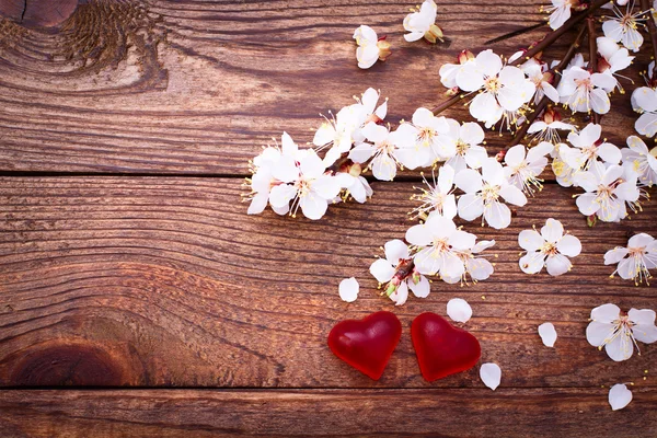 Ramo fiorito con fiori bianchi delicati su superficie di legno . — Foto Stock