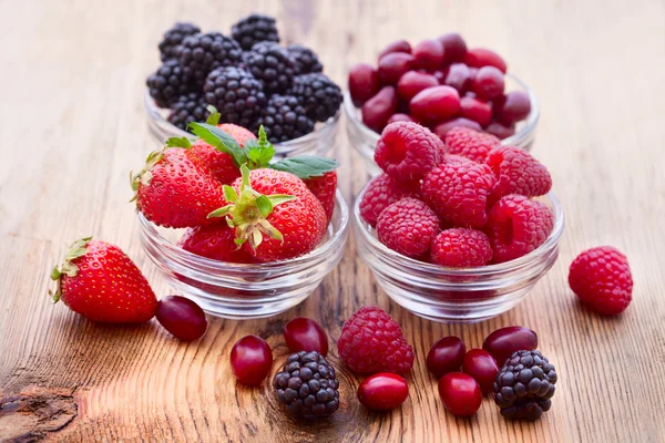 Strawberries, dogwood, blackberries and raspberries in bowls, — Stock Photo, Image