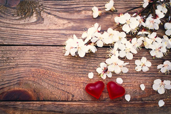 Flowering branch with white delicate flowers on wooden surface. — Stock Photo, Image