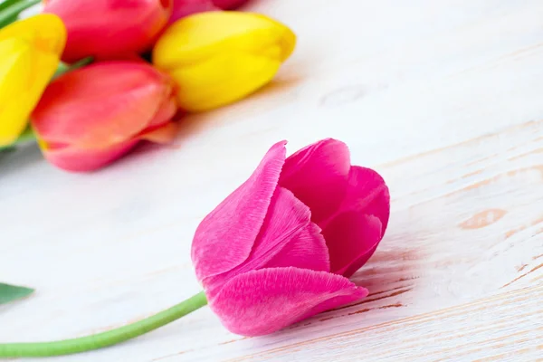 Ramo de tulipanes de flores de primavera —  Fotos de Stock