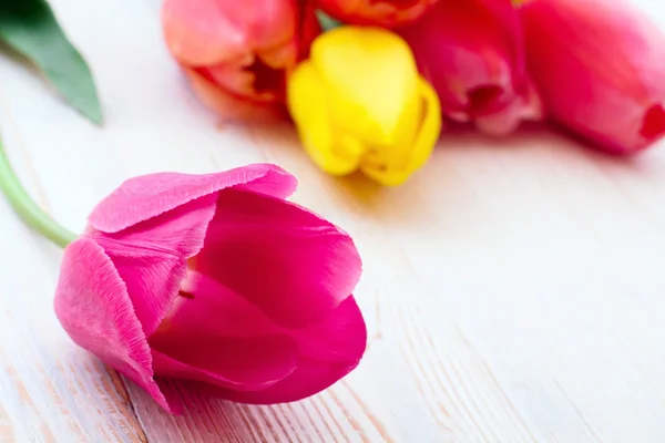 Bouquet de tulipes de fleurs de printemps — Photo