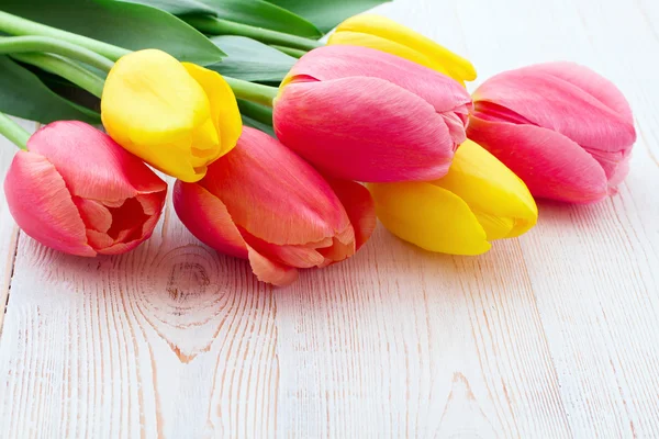 Strauß Frühlingsblumen Tulpen — Stockfoto