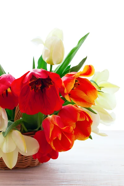 Strauß Frühlingsblumen Tulpen — Stockfoto