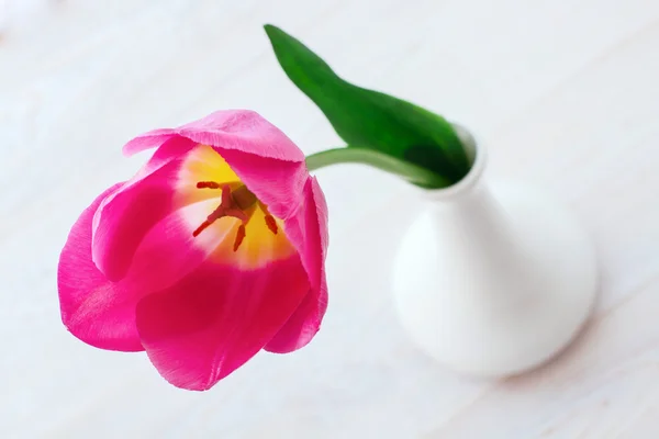 Strauß Frühlingsblumen Tulpen — Stockfoto