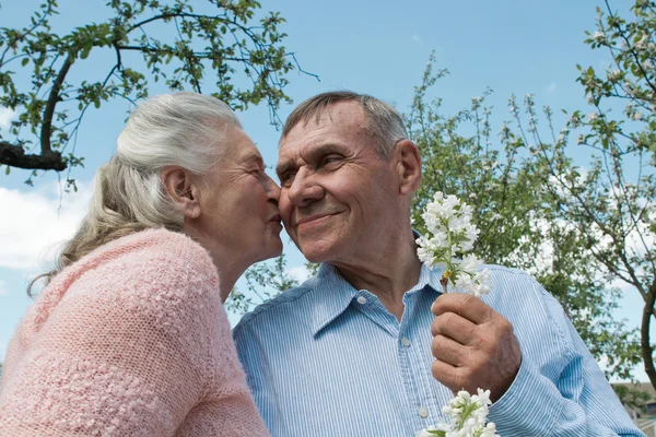 Seniorenpaar umarmt sich auf dem Land — Stockfoto