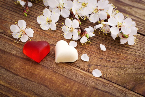 Día de la boda amor hermoso. Corazón colgando de la rama del árbol — Foto de Stock