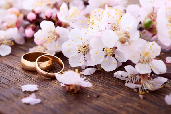 Anéis de casamento. Primavera. Ramo florido na superfície de madeira . — Fotografia de Stock