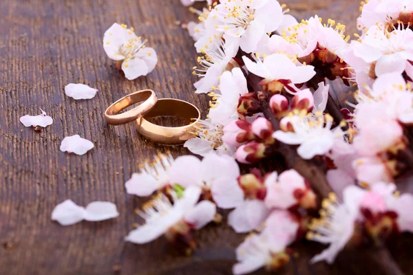 Wedding rings. Spring. Flowering branch on wooden surface. — Stock Photo, Image