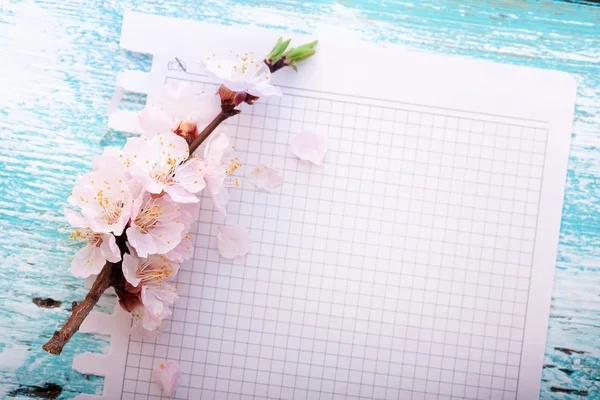 Frame with flowering branches on wooden board — Stock Photo, Image