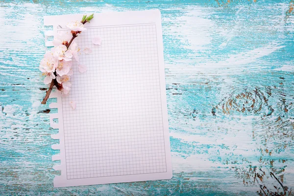 Frame with flowering branches on wooden board — Stock Photo, Image