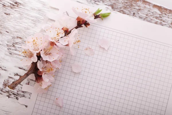 Çiçekli dallar ahşap tahta üzerinde çerçeve — Stok fotoğraf