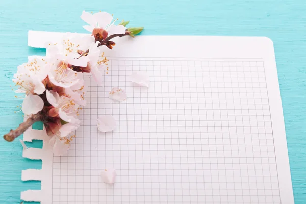 Frame with flowering branches on wooden board — Stock Photo, Image