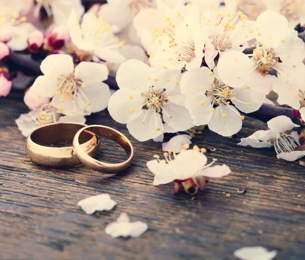 ᐈ Tree rings stock pictures, Royalty Free images of tree rings photos