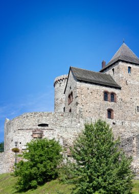 Royal castle